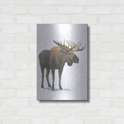 Luxe Metal Art 'Northern Wild VI' by James Wiens, Metal Wall Art,16x24