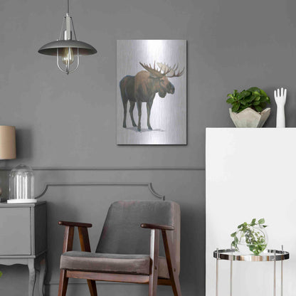 Luxe Metal Art 'Northern Wild VI' by James Wiens, Metal Wall Art,16x24