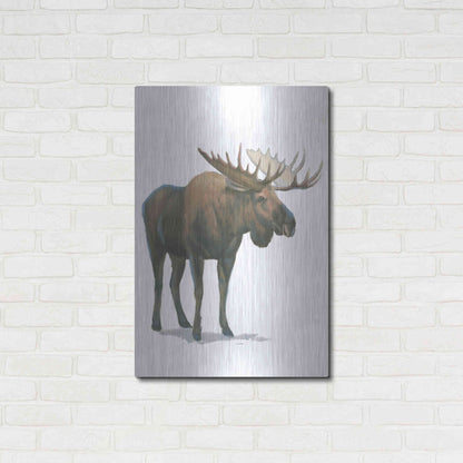Luxe Metal Art 'Northern Wild VI' by James Wiens, Metal Wall Art,24x36