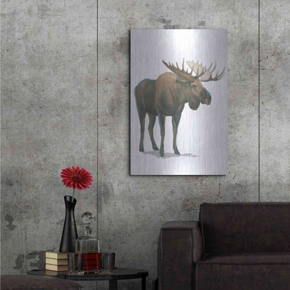 Luxe Metal Art 'Northern Wild VI' by James Wiens, Metal Wall Art,24x36