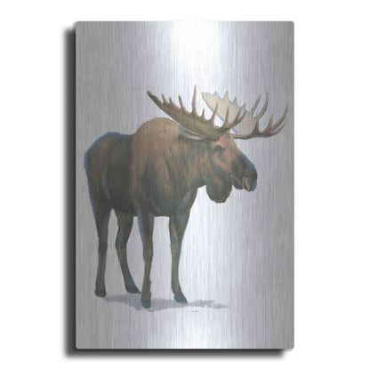 Luxe Metal Art 'Northern Wild VI' by James Wiens, Metal Wall Art