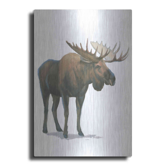 Luxe Metal Art 'Northern Wild VI' by James Wiens, Metal Wall Art