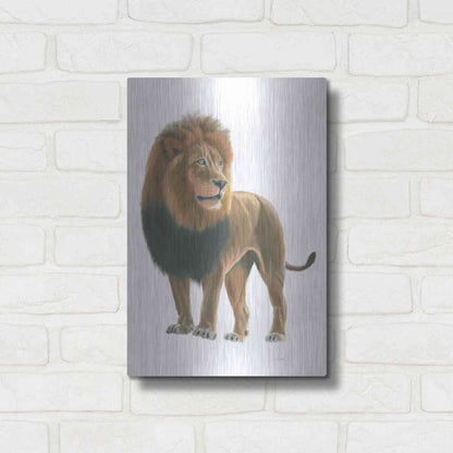 Luxe Metal Art 'Wild and Free I' by James Wiens, Metal Wall Art,12x16