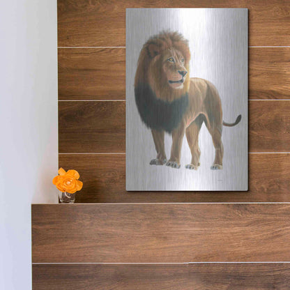 Luxe Metal Art 'Wild and Free I' by James Wiens, Metal Wall Art,12x16