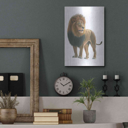 Luxe Metal Art 'Wild and Free I' by James Wiens, Metal Wall Art,12x16