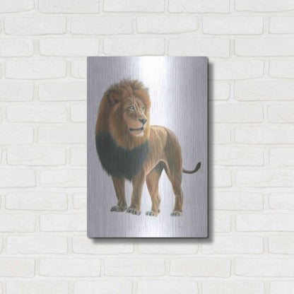 Luxe Metal Art 'Wild and Free I' by James Wiens, Metal Wall Art,16x24