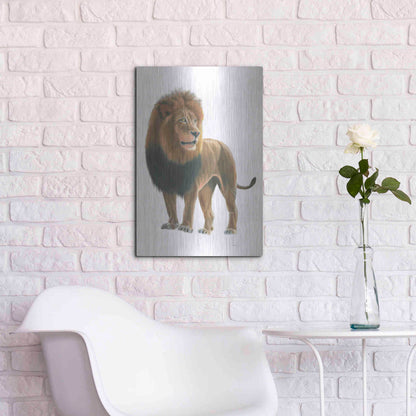 Luxe Metal Art 'Wild and Free I' by James Wiens, Metal Wall Art,16x24