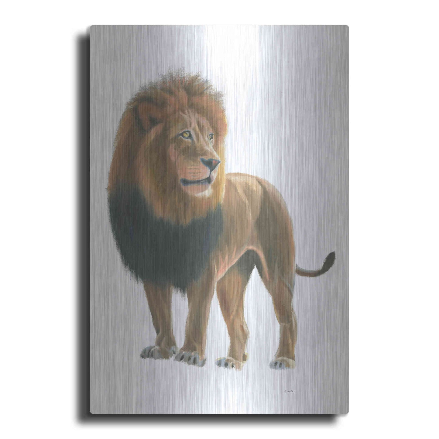 Luxe Metal Art 'Wild and Free I' by James Wiens, Metal Wall Art