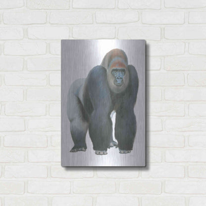 Luxe Metal Art 'Wild and Free II' by James Wiens, Metal Wall Art,16x24