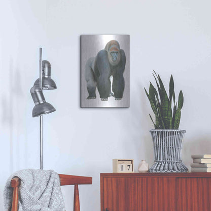 Luxe Metal Art 'Wild and Free II' by James Wiens, Metal Wall Art,16x24