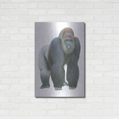 Luxe Metal Art 'Wild and Free II' by James Wiens, Metal Wall Art,24x36