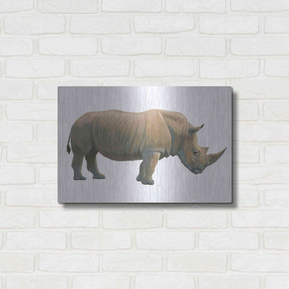 Luxe Metal Art 'Wild and Free III' by James Wiens, Metal Wall Art,24x16