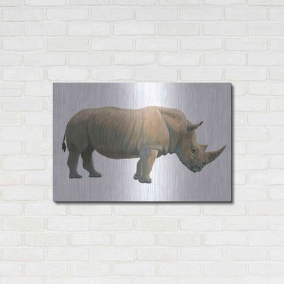 Luxe Metal Art 'Wild and Free III' by James Wiens, Metal Wall Art,36x24