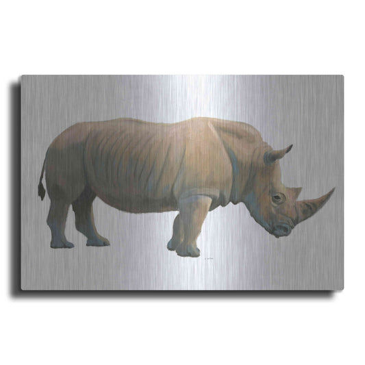 Luxe Metal Art 'Wild and Free III' by James Wiens, Metal Wall Art