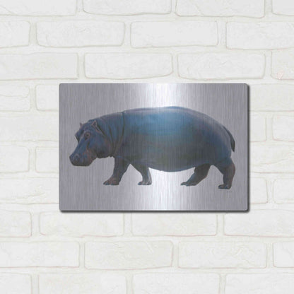 Luxe Metal Art 'Wild and Free IV' by James Wiens, Metal Wall Art,16x12