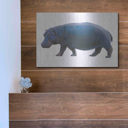 Luxe Metal Art 'Wild and Free IV' by James Wiens, Metal Wall Art,16x12