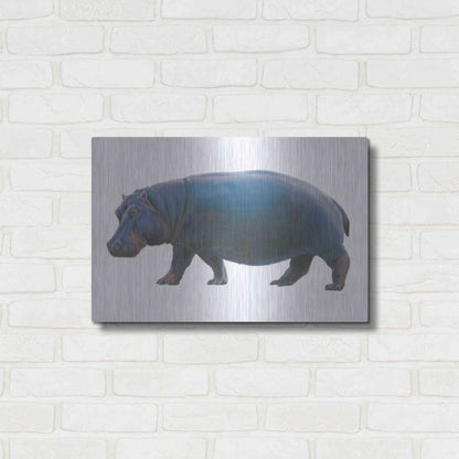 Luxe Metal Art 'Wild and Free IV' by James Wiens, Metal Wall Art,24x16
