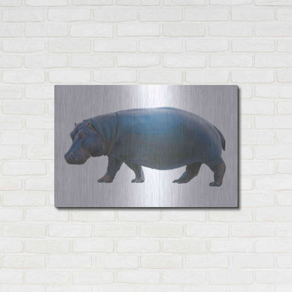 Luxe Metal Art 'Wild and Free IV' by James Wiens, Metal Wall Art,36x24