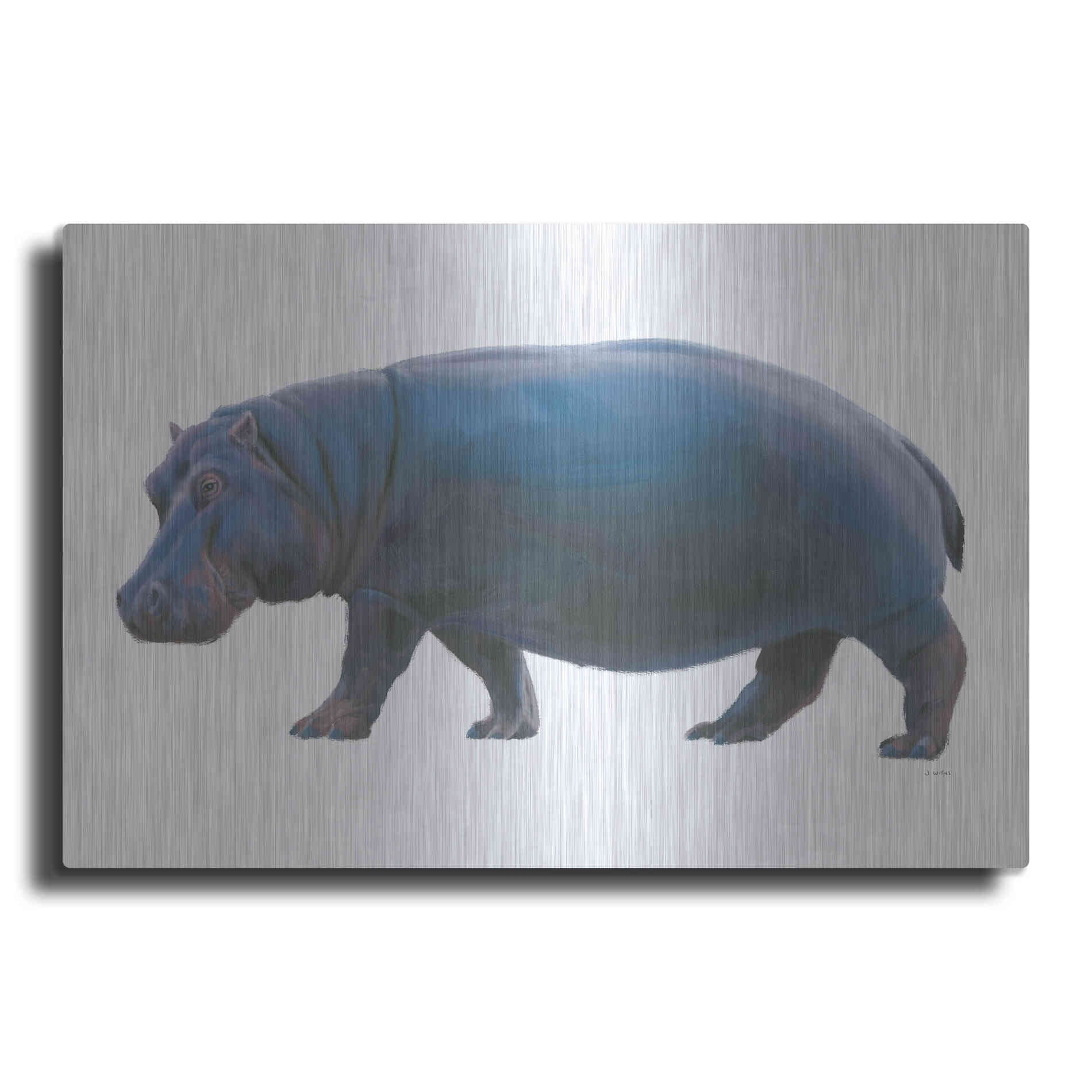 Luxe Metal Art 'Wild and Free IV' by James Wiens, Metal Wall Art
