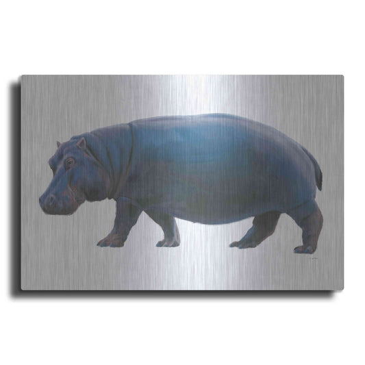 Luxe Metal Art 'Wild and Free IV' by James Wiens, Metal Wall Art