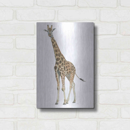 Luxe Metal Art 'Wild and Free V' by James Wiens, Metal Wall Art,12x16