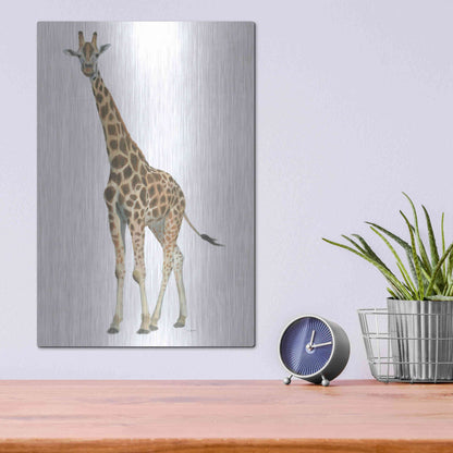 Luxe Metal Art 'Wild and Free V' by James Wiens, Metal Wall Art,12x16