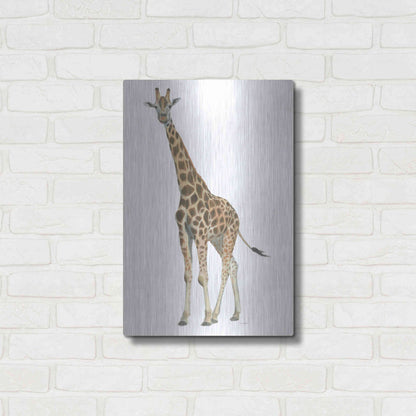 Luxe Metal Art 'Wild and Free V' by James Wiens, Metal Wall Art,16x24
