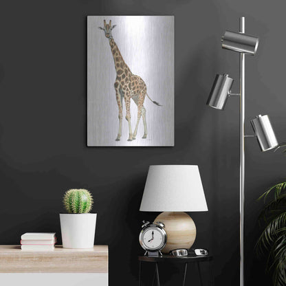 Luxe Metal Art 'Wild and Free V' by James Wiens, Metal Wall Art,16x24
