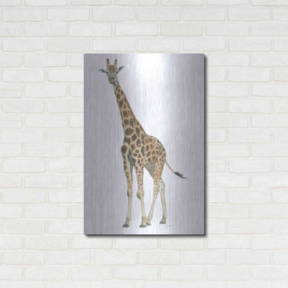 Luxe Metal Art 'Wild and Free V' by James Wiens, Metal Wall Art,24x36