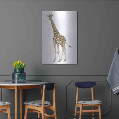 Luxe Metal Art 'Wild and Free V' by James Wiens, Metal Wall Art,24x36