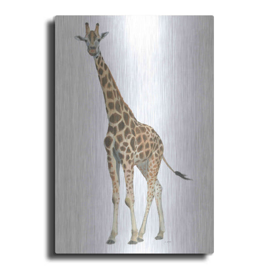 Luxe Metal Art 'Wild and Free V' by James Wiens, Metal Wall Art