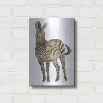 Luxe Metal Art 'Wild and Free VI' by James Wiens, Metal Wall Art,12x16