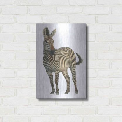 Luxe Metal Art 'Wild and Free VI' by James Wiens, Metal Wall Art,16x24