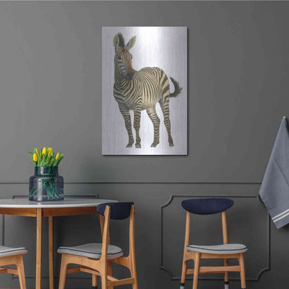 Luxe Metal Art 'Wild and Free VI' by James Wiens, Metal Wall Art,24x36