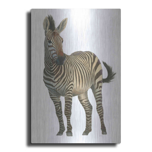 Luxe Metal Art 'Wild and Free VI' by James Wiens, Metal Wall Art