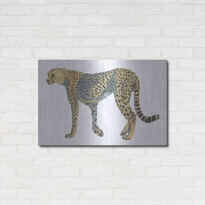 Luxe Metal Art 'Wild and Free VII' by James Wiens, Metal Wall Art,36x24