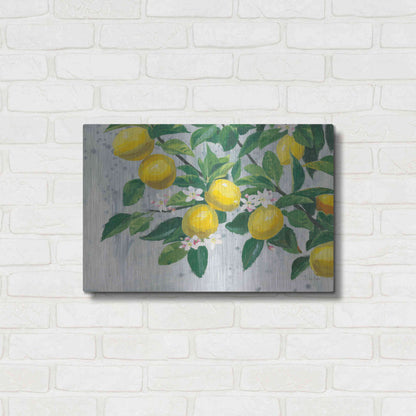 Luxe Metal Art 'Zesty Lemons' by James Wiens, Metal Wall Art,24x16