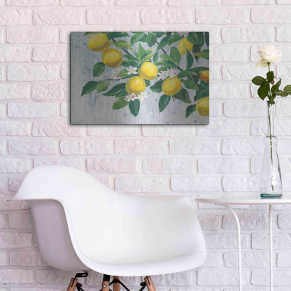 Luxe Metal Art 'Zesty Lemons' by James Wiens, Metal Wall Art,24x16