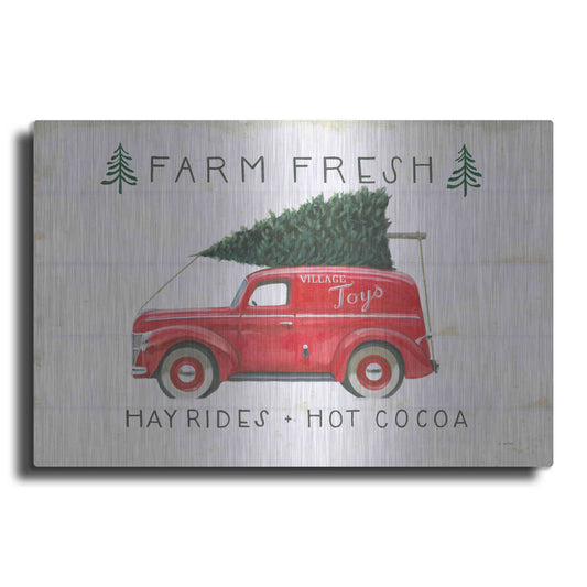 Luxe Metal Art 'Christmas Farm VI' by James Wiens, Metal Wall Art