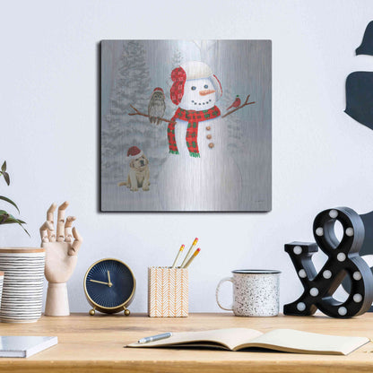 Luxe Metal Art 'Dressed for Christmas II Crop' by James Wiens, Metal Wall Art,12x12