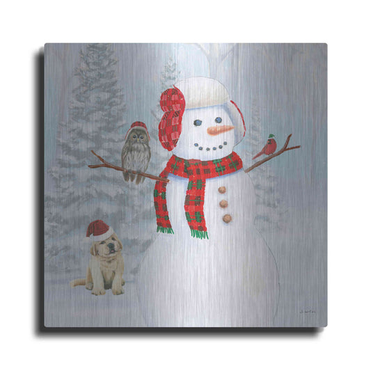 Luxe Metal Art 'Dressed for Christmas II Crop' by James Wiens, Metal Wall Art