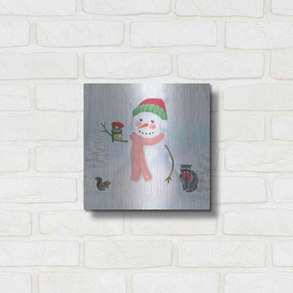 Luxe Metal Art 'Dressed for Christmas IV Crop' by James Wiens, Metal Wall Art,12x12