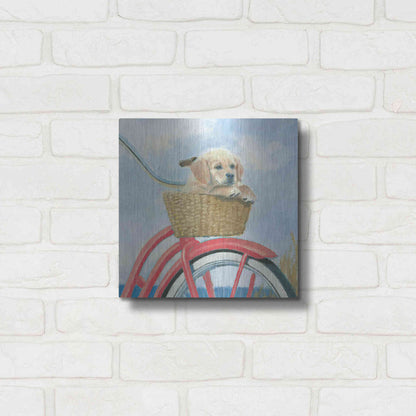 Luxe Metal Art 'Beach Ride V' by James Wiens, Metal Wall Art,12x12