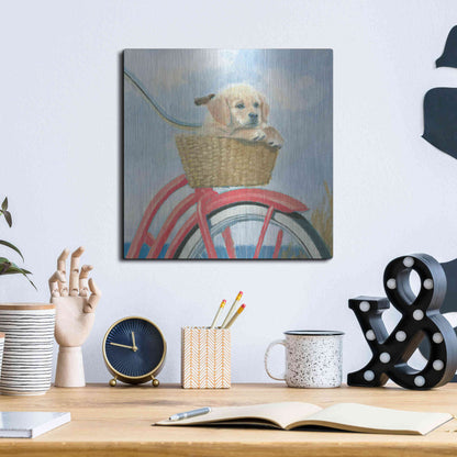 Luxe Metal Art 'Beach Ride V' by James Wiens, Metal Wall Art,12x12