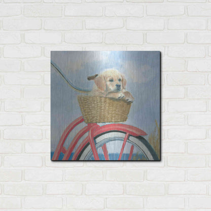 Luxe Metal Art 'Beach Ride V' by James Wiens, Metal Wall Art,24x24