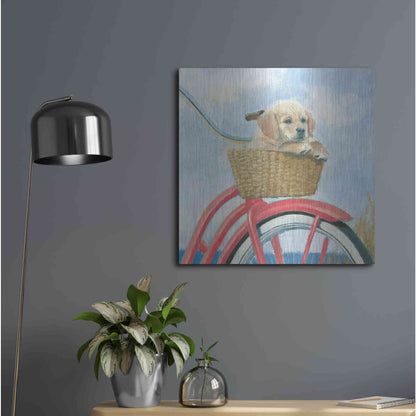 Luxe Metal Art 'Beach Ride V' by James Wiens, Metal Wall Art,24x24