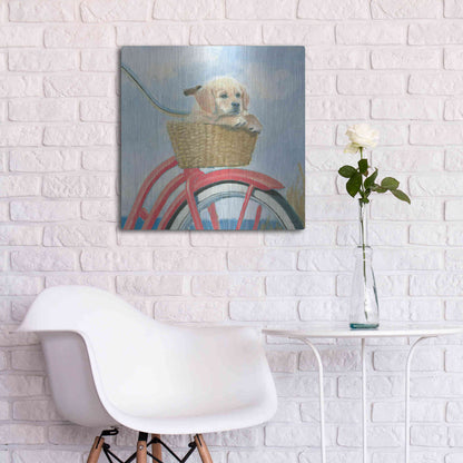 Luxe Metal Art 'Beach Ride V' by James Wiens, Metal Wall Art,24x24