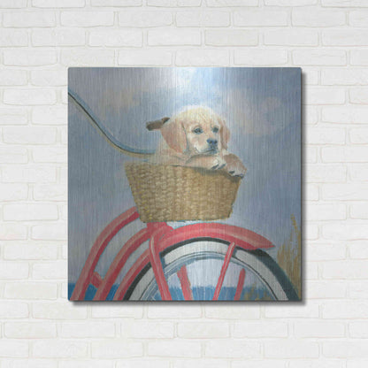 Luxe Metal Art 'Beach Ride V' by James Wiens, Metal Wall Art,36x36