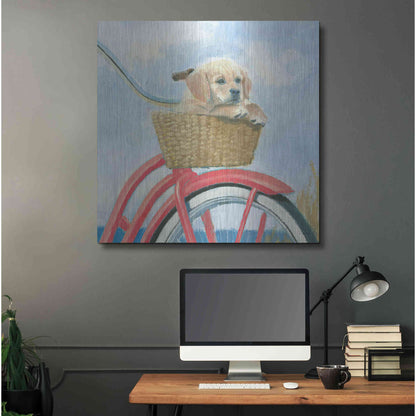 Luxe Metal Art 'Beach Ride V' by James Wiens, Metal Wall Art,36x36