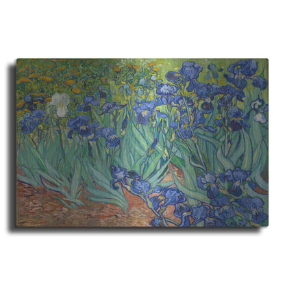 Luxe Metal Art 'Irises' by Vincent Van Gogh, Metal Wall Art